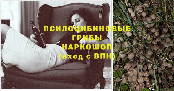 прущие грибы Богородск