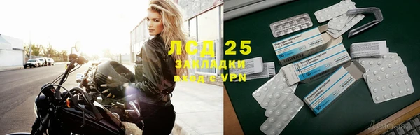 прущие грибы Богородск
