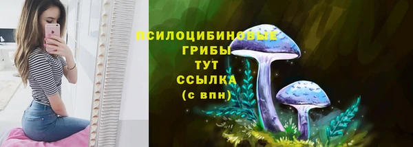 твердый Богданович