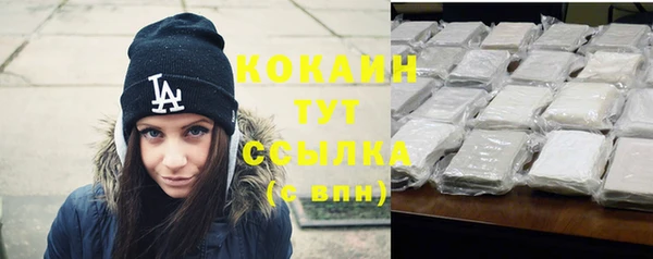 крисы Богородицк
