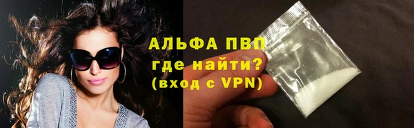 крисы Богородицк