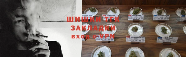 прущие грибы Богородск