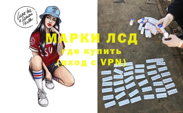 крисы Богородицк