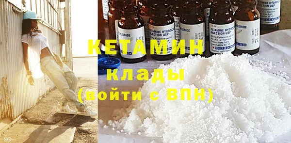 прущие грибы Богородск