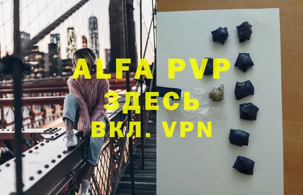 прущие грибы Богородск
