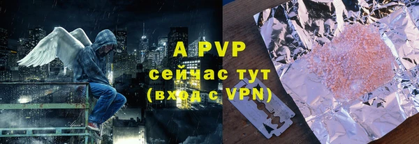 твердый Богданович