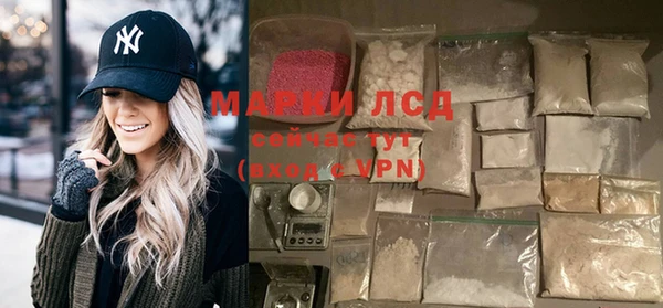 твердый Богданович