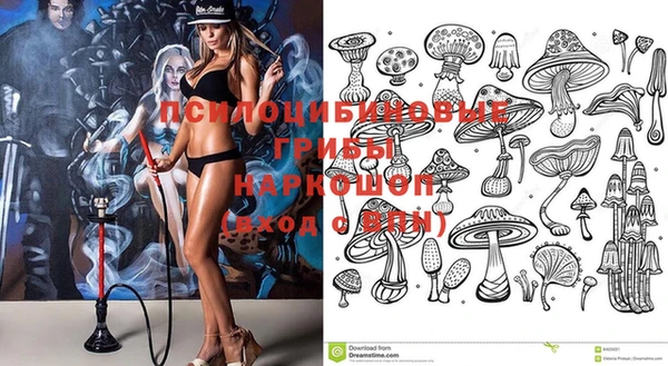 твердый Богданович