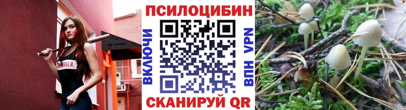 где продают наркотики Дивногорск Галлюциногенные грибы Cubensis